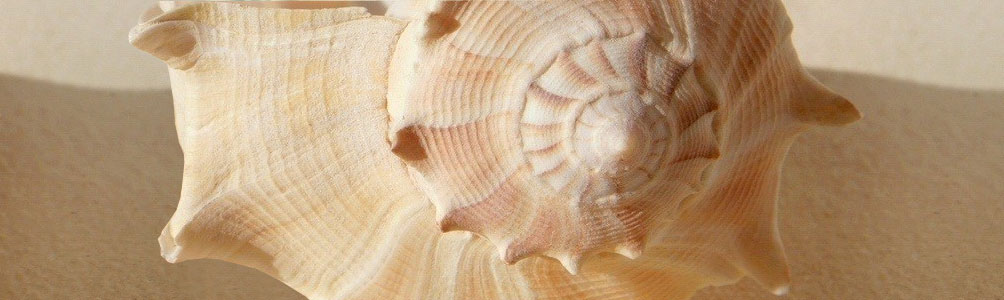 San Sebastian - Espagne